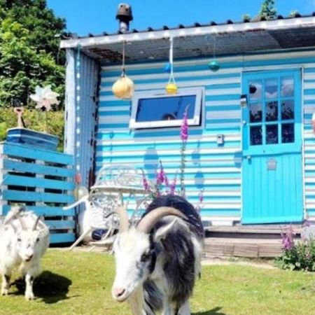Отель Treguth Glamping Unique Experience - Themed Huts Saint Day Экстерьер фото