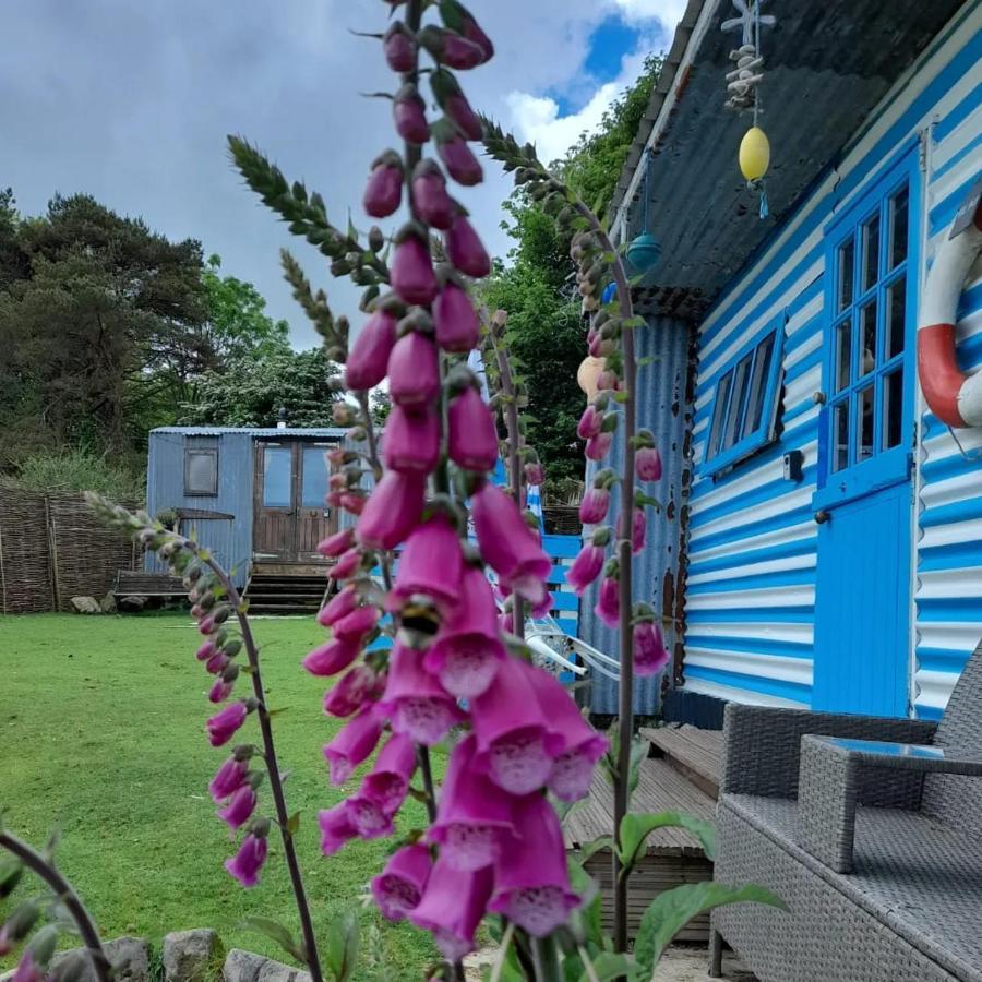 Отель Treguth Glamping Unique Experience - Themed Huts Saint Day Экстерьер фото