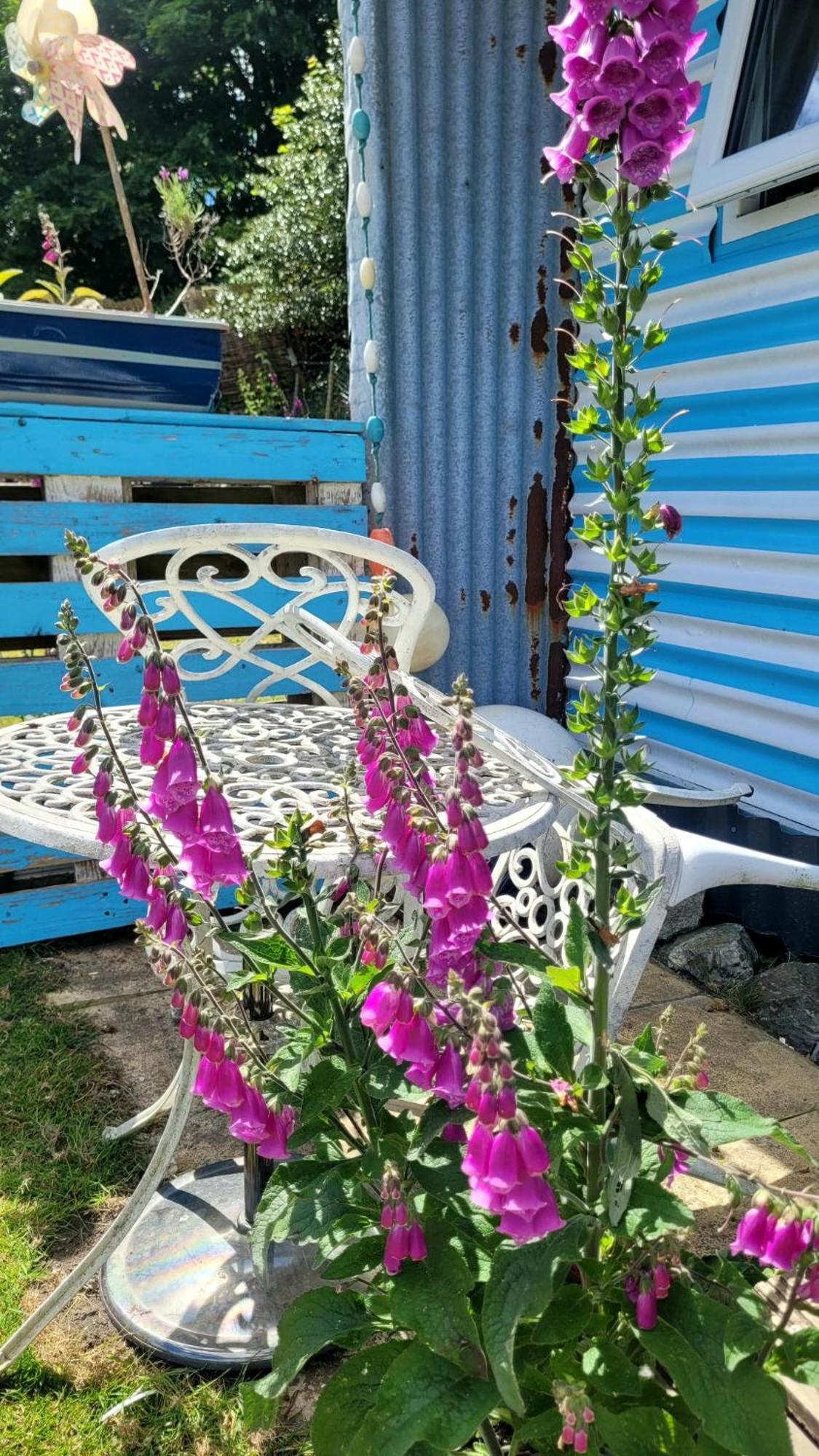 Отель Treguth Glamping Unique Experience - Themed Huts Saint Day Экстерьер фото