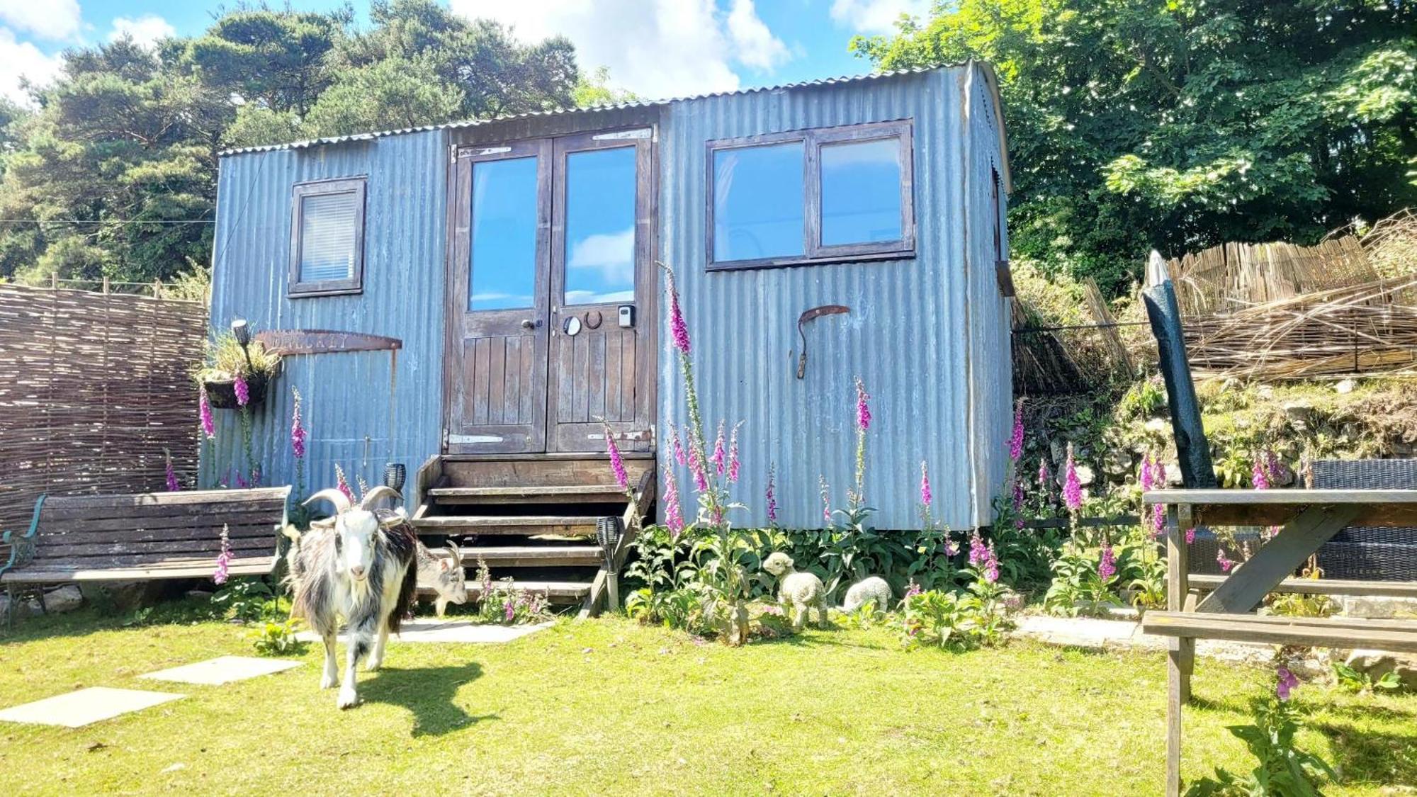 Отель Treguth Glamping Unique Experience - Themed Huts Saint Day Экстерьер фото