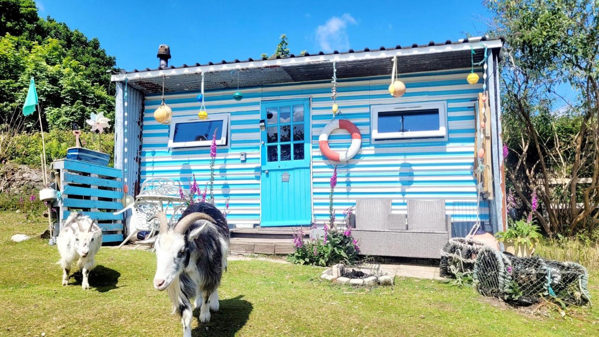 Отель Treguth Glamping Unique Experience - Themed Huts Saint Day Экстерьер фото