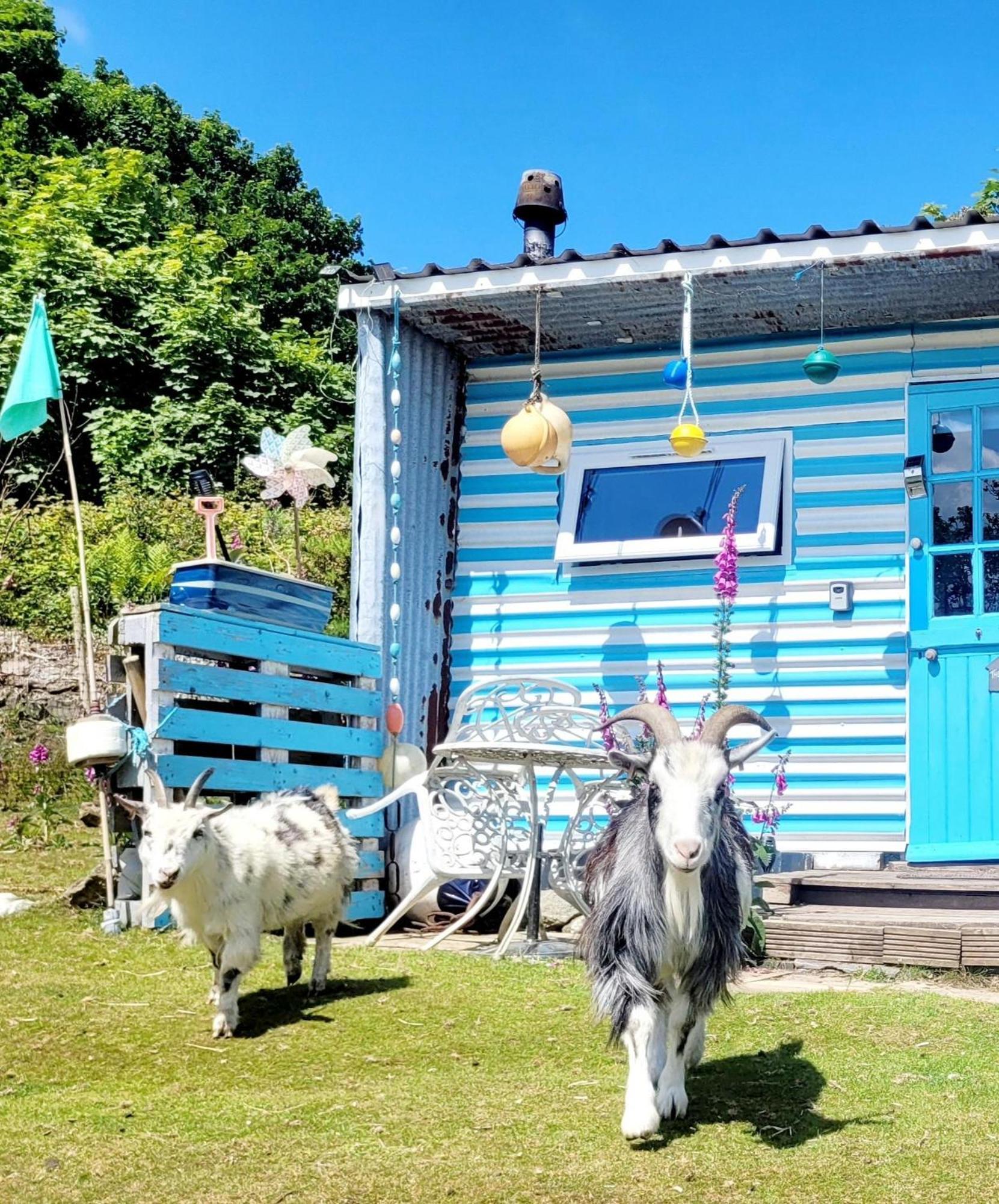 Отель Treguth Glamping Unique Experience - Themed Huts Saint Day Экстерьер фото