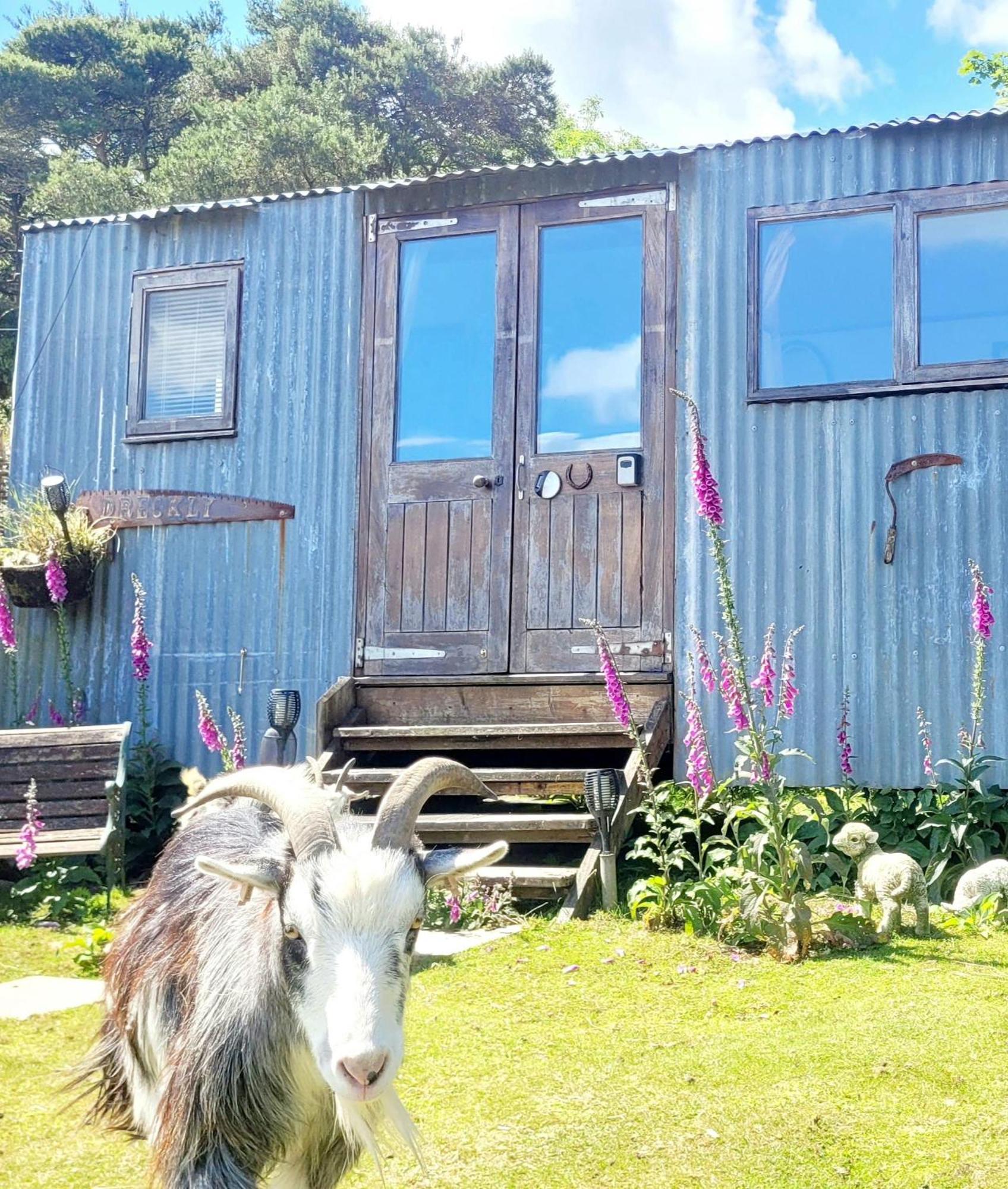 Отель Treguth Glamping Unique Experience - Themed Huts Saint Day Экстерьер фото