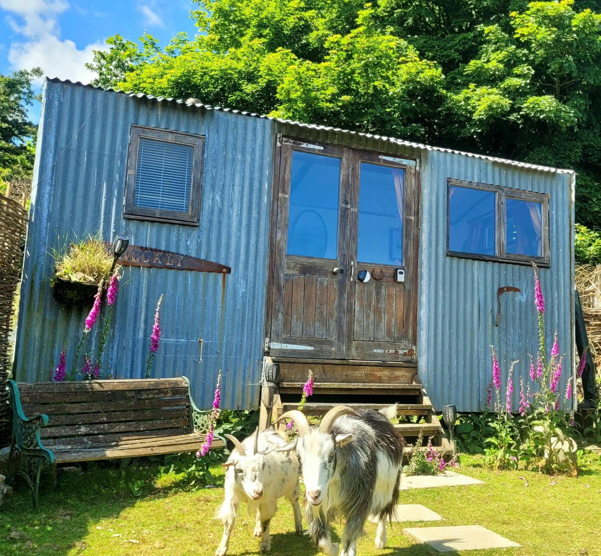 Отель Treguth Glamping Unique Experience - Themed Huts Saint Day Экстерьер фото