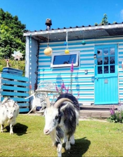 Отель Treguth Glamping Unique Experience - Themed Huts Saint Day Экстерьер фото